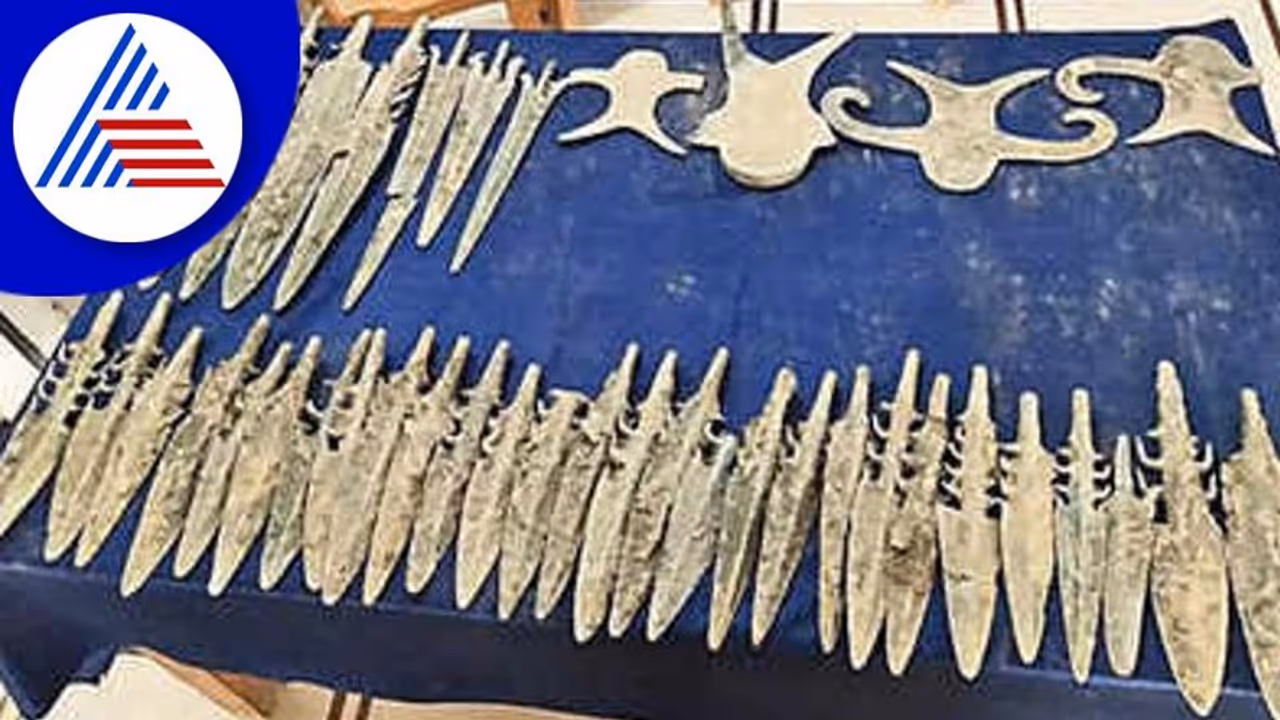 ಹೊಲ ಉಳುತ್ತಿದ್ದ ರೈತನಿಗೆ ಸಿಕ್ತು 4 ಸಾವಿರ ವರ್ಷ ಹಳೆಯ ತಾಮ್ರದ ಆಯುಧಗಳು