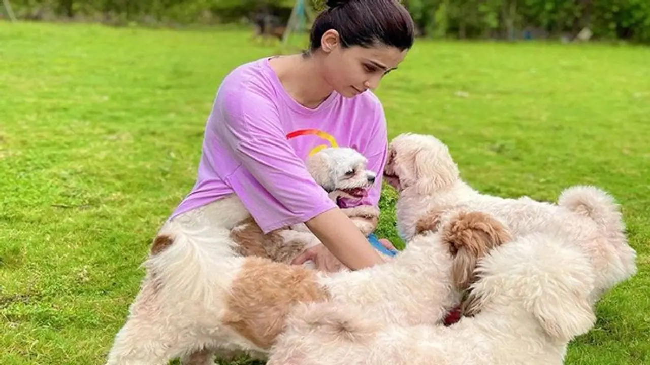 Daisy Shah’s day out with her four legged friends is everything adorable! Daisy Shah’s day out with her four legged friends is everything adorable!
