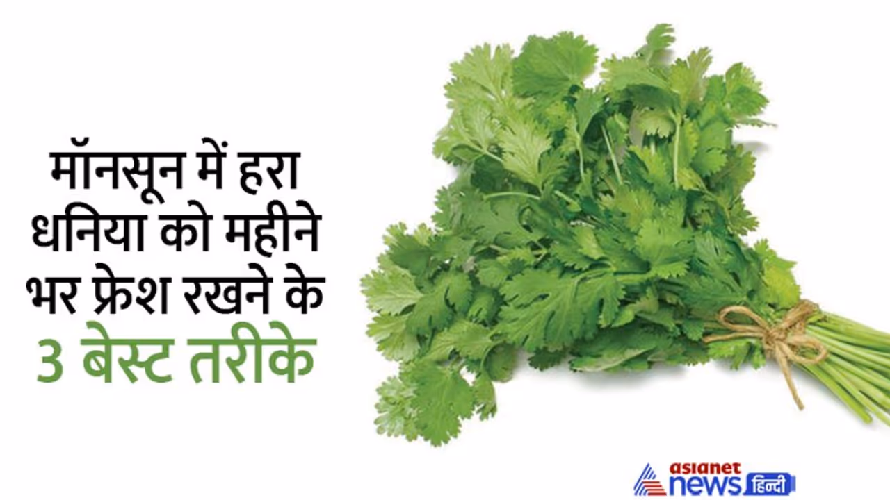 अब बारिश में नहीं खराब होगा धनिया, 1 महीने तक रहेगा फ्रेश, जानें फ्रिज में कैसे करें स्टोर अब बारिश में नहीं खराब होगा धनिया, 1 महीने तक रहेगा फ्रेश, जानें फ्रिज में कैसे करें स्टोर