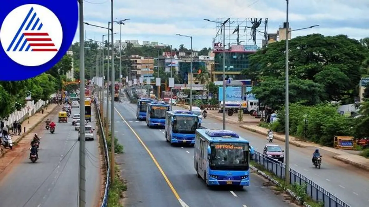 ಹುಬ್ಬಳ್ಳಿ ಧಾರವಾಡ: ಚಿಗರಿ ಬಸ್‌ನಲ್ಲಿ ಜಿರಳೆ ಕಾಟಕ್ಕೆ ಪ್ರಯಾಣಿಕರು ಹೈರಾಣು..!