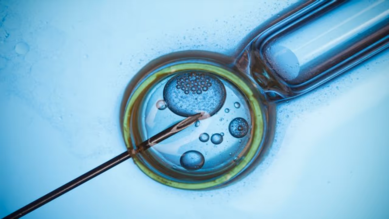 వార్నీ.. ఇదో నయాదందా.. డబ్బులకోసం అండాలను అమ్ముకుని.. భర్త అడిగితే.. 