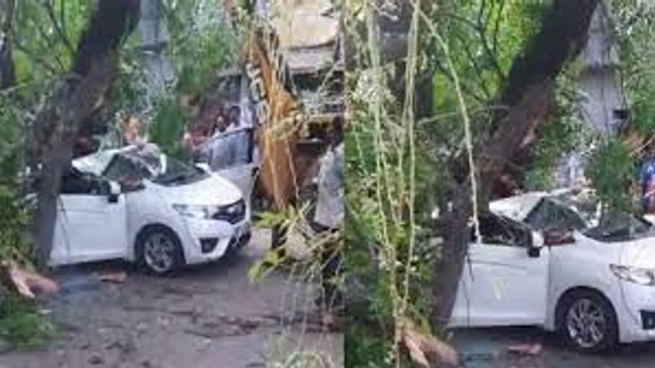 சென்னையில் கார் மீது மரம் விழுந்து வங்கி மேலாளர் பலி.. மழை நீர் வடிகாலுக்காக தோண்டப்பட்ட பள்ளம் தான் காரணமா..?