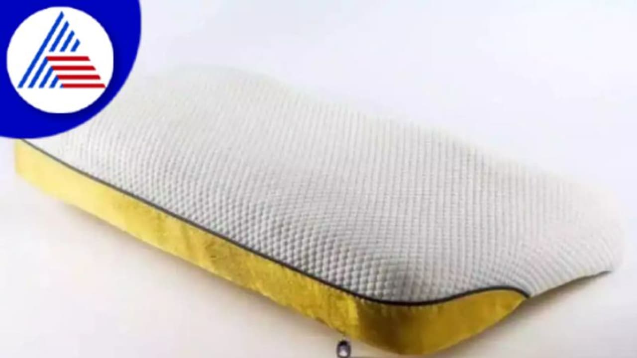 ಅಬ್ಬಬ್ಬಾ..ದಿಂಬಿನ ಬೆಲೆ ಭರ್ತಿ 45 ಲಕ್ಷ ರೂ; ವಿಶ್ವದ ದುಬಾರಿ ಪಿಲ್ಲೋದಲ್ಲಿ ಅಂಥದ್ದೇನಿದೆ ? ಅಬ್ಬಬ್ಬಾ..ದಿಂಬಿನ ಬೆಲೆ ಭರ್ತಿ 45 ಲಕ್ಷ ರೂ; ವಿಶ್ವದ ದುಬಾರಿ ಪಿಲ್ಲೋದಲ್ಲಿ ಅಂಥದ್ದೇನಿದೆ ?