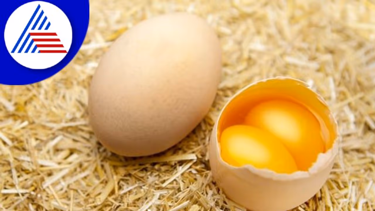 ಮೊಟ್ಟೆ ಒಡೆದು ಎರಡು ಹಳದಿ ಭಾಗ ಸಿಕ್ಕರೆ ಅವಳಿ ಜವಳಿ ಮಕ್ಕಳಾಗುತ್ತಂತೆ ! ಮೊಟ್ಟೆ ಒಡೆದು ಎರಡು ಹಳದಿ ಭಾಗ ಸಿಕ್ಕರೆ ಅವಳಿ ಜವಳಿ ಮಕ್ಕಳಾಗುತ್ತಂತೆ !