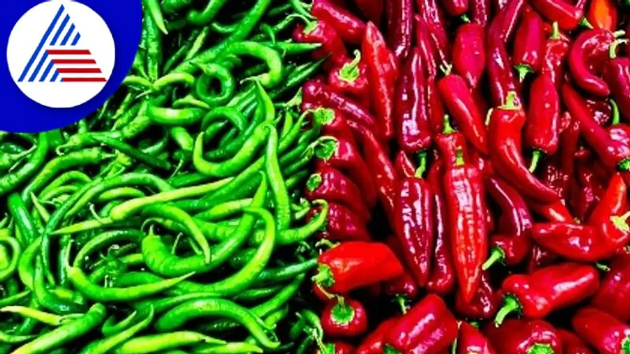 ಖಾರ ಅಂತ ದೂರವಿಡೋ ಹಸಿ ಮೆಣಸು ಹಲವು ಕಾಯಿಲೆಗೆ ಮದ್ದು ಖಾರ ಅಂತ ದೂರವಿಡೋ ಹಸಿ ಮೆಣಸು ಹಲವು ಕಾಯಿಲೆಗೆ ಮದ್ದು