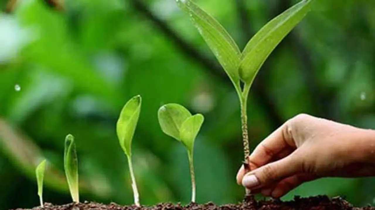 Ashadh Amavasya 2022: 2 दिन रहेगी आषाढ़ मास की अमावस्या, जानिए किस दिन क्या करने से मिलेंगे शुभ फल? Ashadh Amavasya 2022: 2 दिन रहेगी आषाढ़ मास की अमावस्या, जानिए किस दिन क्या करने से मिलेंगे शुभ फल?