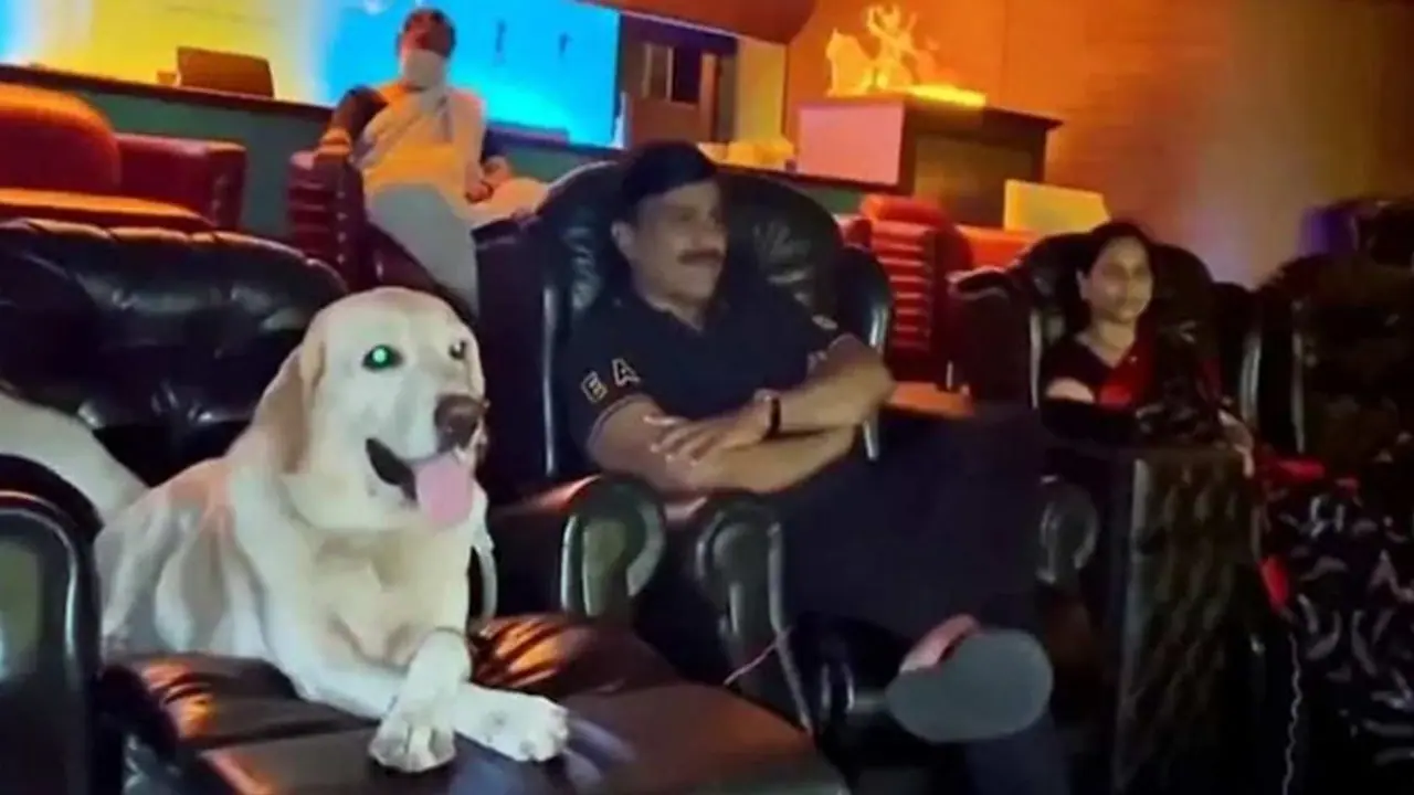 777 Charlie: BJP minister Gali Janardhana Reddy watched Rakshit Shetty's film with his dog, Rocky (Video) 777 Charlie: BJP minister Gali Janardhana Reddy watched Rakshit Shetty's film with his dog, Rocky (Video)