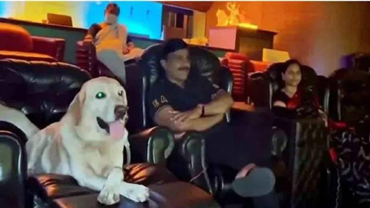 పెంపుడు కుక్కతో కలిసి 777 చార్లీ మూవీ చూసిన గాలి జనార్థన్ రెడ్డి, సోషల్ మీడియాలో స్పందించిన సెలబ్రిటీ