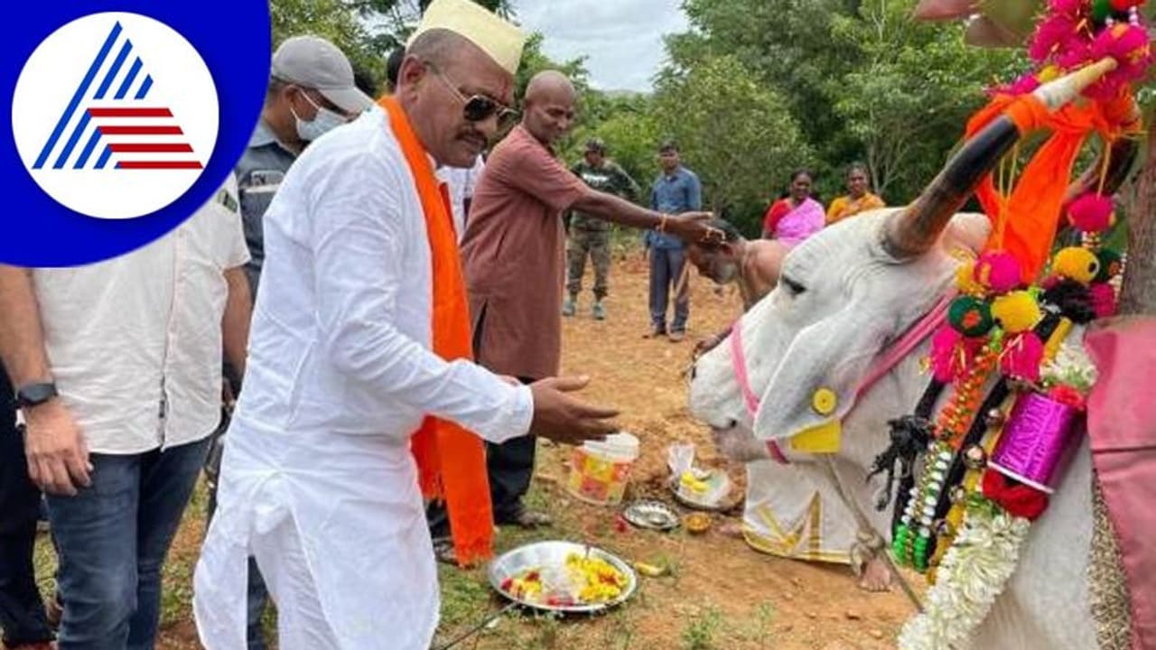 ಆತ್ಮನಿರ್ಭರ ರೀತಿಯಲ್ಲಿ ಗೋಶಾಲೆ ಅಭಿವೃದ್ಧಿ: ಸಚಿವ ಚವ್ಹಾಣ್‌