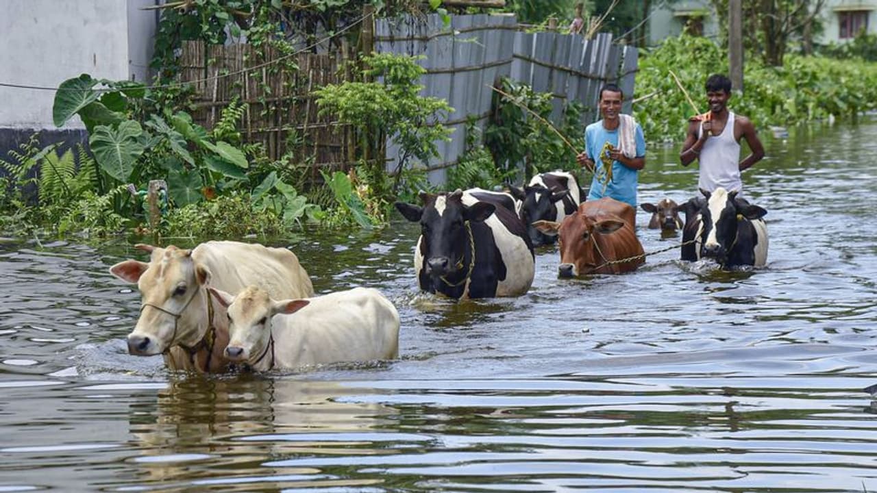 'അവരു‌ടെ ദുരവസ്ഥ കണ്ടുനിൽക്കാനാവില്ല'; അസം പ്രളയബാധിതർക്ക് 51 ലക്ഷം രൂപ നൽകി ശിവസേന വിമത എംഎൽഎമാർ