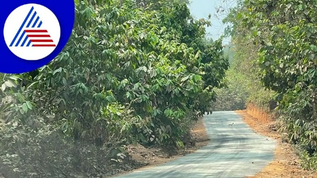 ಪತ್ರಕರ್ತರು ಗ್ರಾಮವಾಸ್ತವ್ಯ ಮಾಡಿದ ಊರಿಗೆ ರಸ್ತೆ ಭಾಗ್ಯ! ಪತ್ರಕರ್ತರು ಗ್ರಾಮವಾಸ್ತವ್ಯ ಮಾಡಿದ ಊರಿಗೆ ರಸ್ತೆ ಭಾಗ್ಯ!