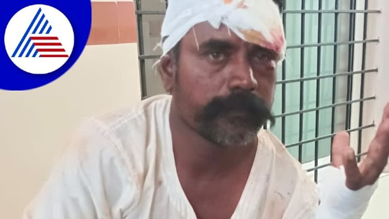 ಬಹಿರ್ದೆಸೆಗೆ ಹೋದಾಗ ಕರಡಿ ಡೆಡ್ಲಿ ಅಟ್ಯಾಕ್, ಸೆಣಸಾಡಿ ಪ್ರಾಣ ರಕ್ಷಸಿಕೊಂಡ ರುದ್ರಪ್ಪ!