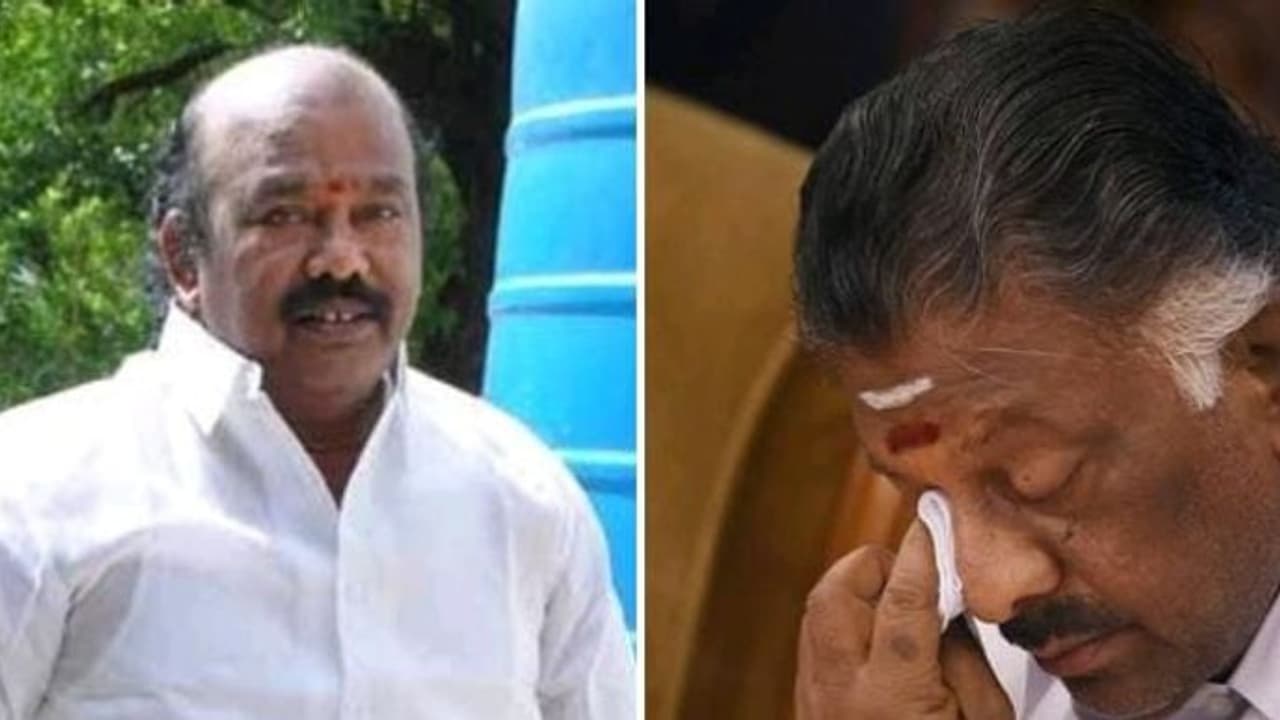 இதனால் தான் ஓபிஎஸ்சை தொண்டர்கள் வெறுத்துவிட்டனர்.. உண்மையை போட்டு உடைத்த ராஜன் செல்லப்பா..! இதனால் தான் ஓபிஎஸ்சை தொண்டர்கள் வெறுத்துவிட்டனர்.. உண்மையை போட்டு உடைத்த ராஜன் செல்லப்பா..!