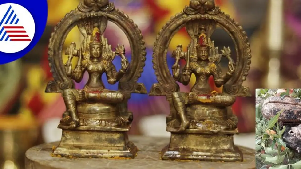 ದೇವರಿಗಾಗಿ ದೇವರಿಂದಲೇ ಹುಡುಕಾಟ! ಹುತ್ತದಲ್ಲಿ ಸಿಕ್ತು ಪುರಾತನ ವಿಗ್ರಹ! ದೇವರಿಗಾಗಿ ದೇವರಿಂದಲೇ ಹುಡುಕಾಟ! ಹುತ್ತದಲ್ಲಿ ಸಿಕ್ತು ಪುರಾತನ ವಿಗ್ರಹ!