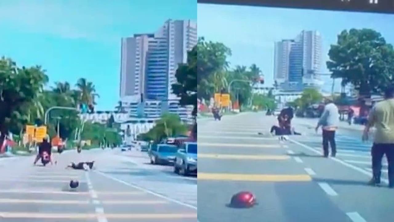 തെങ്ങ് ചതിച്ചു, പക്ഷേ ഹെല്‍മറ്റ് 'ചതച്ചില്ല'; സ്‍കൂട്ടര്‍ യാത്രികയുടെ അമ്പരപ്പിക്കുന്ന രക്ഷപ്പെടല്‍! 