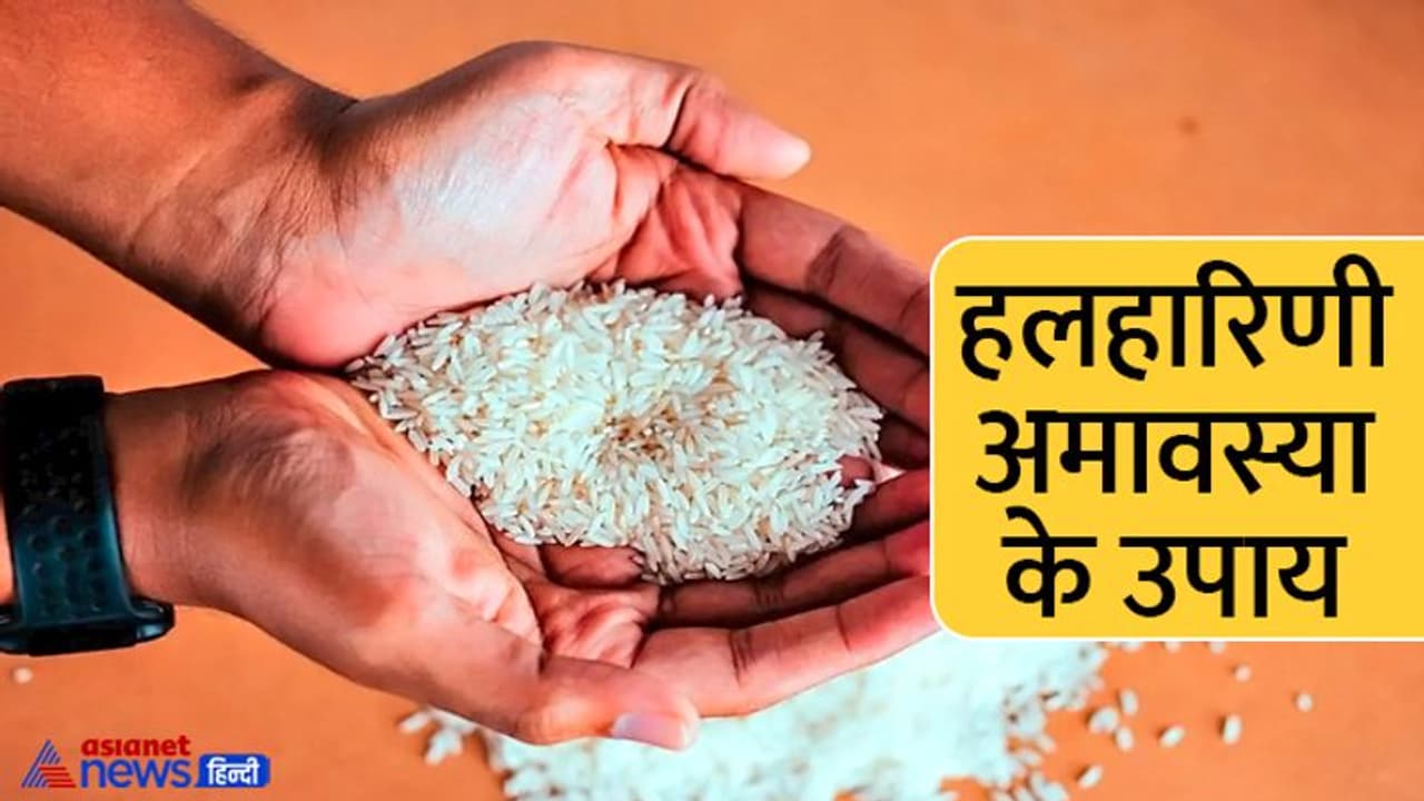 Ashadha Amavasya 2022: 28 जून को राशि अनुसार करें ये उपाय, दूर होंगी परेशानियां, घर आएगी सुख समृद्धि Ashadha Amavasya 2022: 28 जून को राशि अनुसार करें ये उपाय, दूर होंगी परेशानियां, घर आएगी सुख समृद्धि