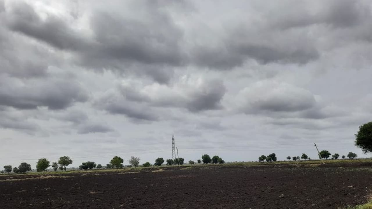 Raichur ಬಾರೋ...ಬಾರೋ ಮಳೆರಾಯ...ನಿತ್ಯ ಮಳೆಗಾಗಿ ಜಪಿಸುತ್ತಿರುವ ಅನ್ನದಾತರು! Raichur ಬಾರೋ...ಬಾರೋ ಮಳೆರಾಯ...ನಿತ್ಯ ಮಳೆಗಾಗಿ ಜಪಿಸುತ್ತಿರುವ ಅನ್ನದಾತರು!