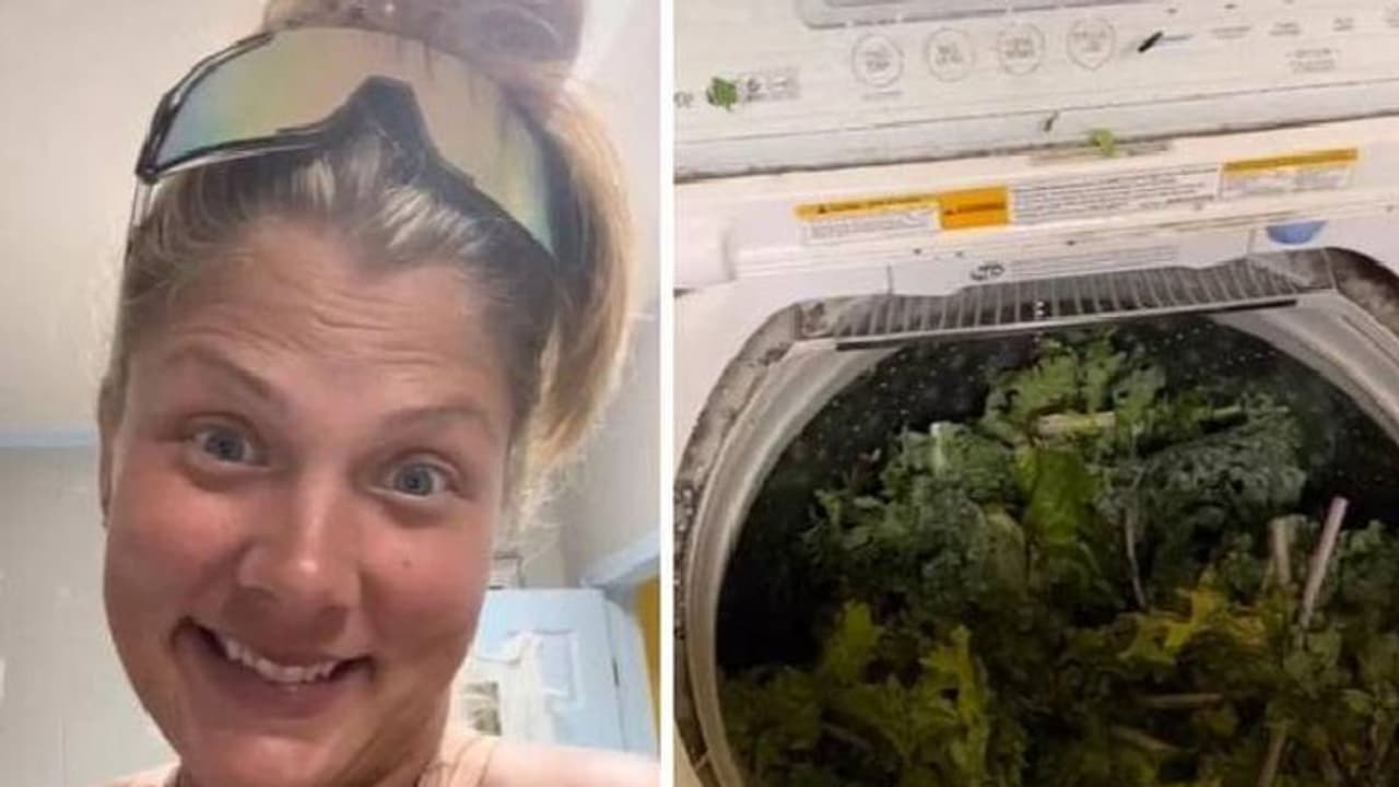 പച്ചക്കറികൾ കഴുകാൻ വാഷിംഗ് മെഷീനിലിടാം, വിചിത്രമായ വീഡിയോയുമായി സ്ത്രീ, വിമർശനം പച്ചക്കറികൾ കഴുകാൻ വാഷിംഗ് മെഷീനിലിടാം, വിചിത്രമായ വീഡിയോയുമായി സ്ത്രീ, വിമർശനം