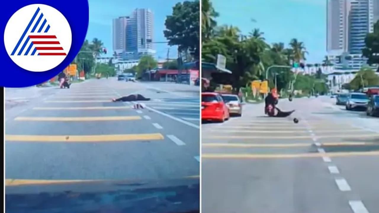 ತಲೆ ಮೇಲೆ ತೆಂಗಿನ ಕಾಯಿ ಬಿದ್ದು, ಬೈಕ್‌ನಿಂದ ಉರುಳಿದ ಮಹಿಳೆ: ಸಿಸಿಟಿವಿಯಲ್ಲಿ ದೃಶ್ಯ ಸೆರೆ