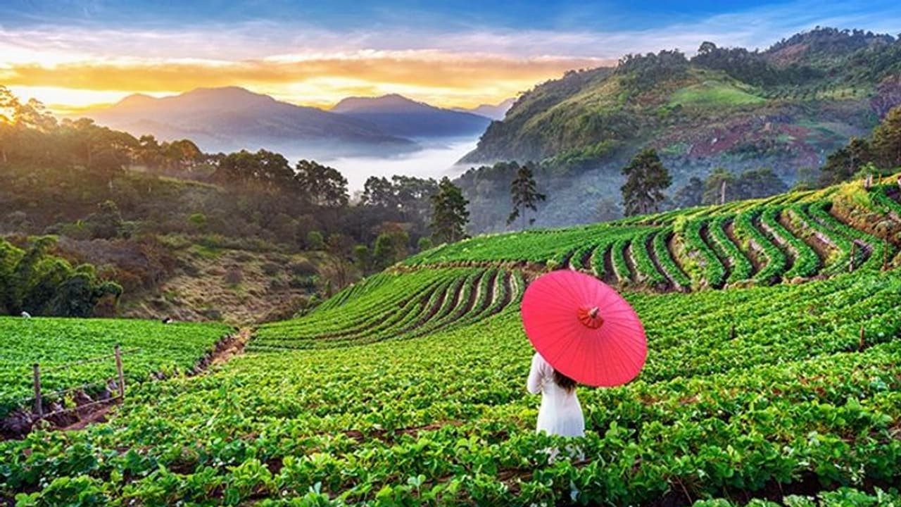 July Travel Destinations: Looking for monsoon destination? Add these places to your list! July Travel Destinations: Looking for monsoon destination? Add these places to your list!