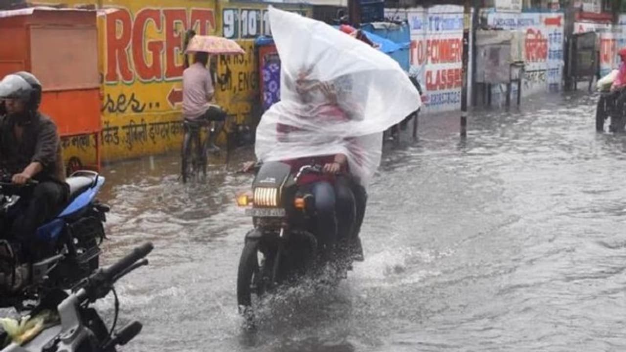 गोरखपुर के जलभराव में डूबे अधिकारियों के दावे, अखिलेश बोले जल पर्यटन को बढ़ावा दे रही सरकार गोरखपुर के जलभराव में डूबे अधिकारियों के दावे, अखिलेश बोले जल पर्यटन को बढ़ावा दे रही सरकार