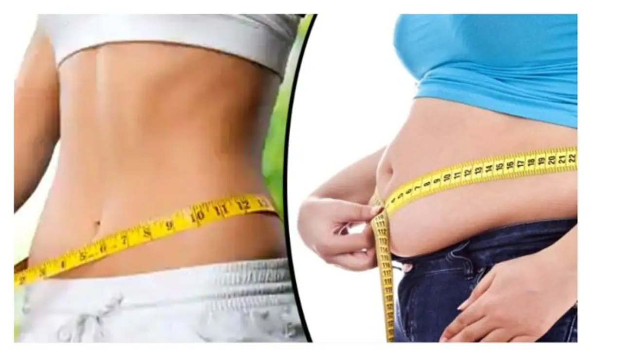 Weight Loss Tips: নিত্য পাতে রাখুন এই তিনটি খাবার, বাড়তি মেদ ঝরে যাবে দ্রুত Weight Loss Tips: নিত্য পাতে রাখুন এই তিনটি খাবার, বাড়তি মেদ ঝরে যাবে দ্রুত