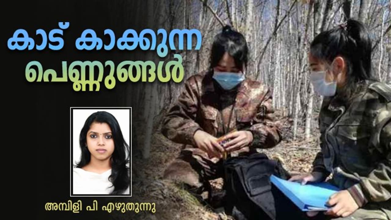 അമുര് പുള്ളിപ്പുലികളും സൈബീരിയന് കടുവകളും, അവയെ രക്ഷിക്കുന്നത് ഈ പെണ്ണുങ്ങളാണ്! അമുര് പുള്ളിപ്പുലികളും സൈബീരിയന് കടുവകളും, അവയെ രക്ഷിക്കുന്നത് ഈ പെണ്ണുങ്ങളാണ്!