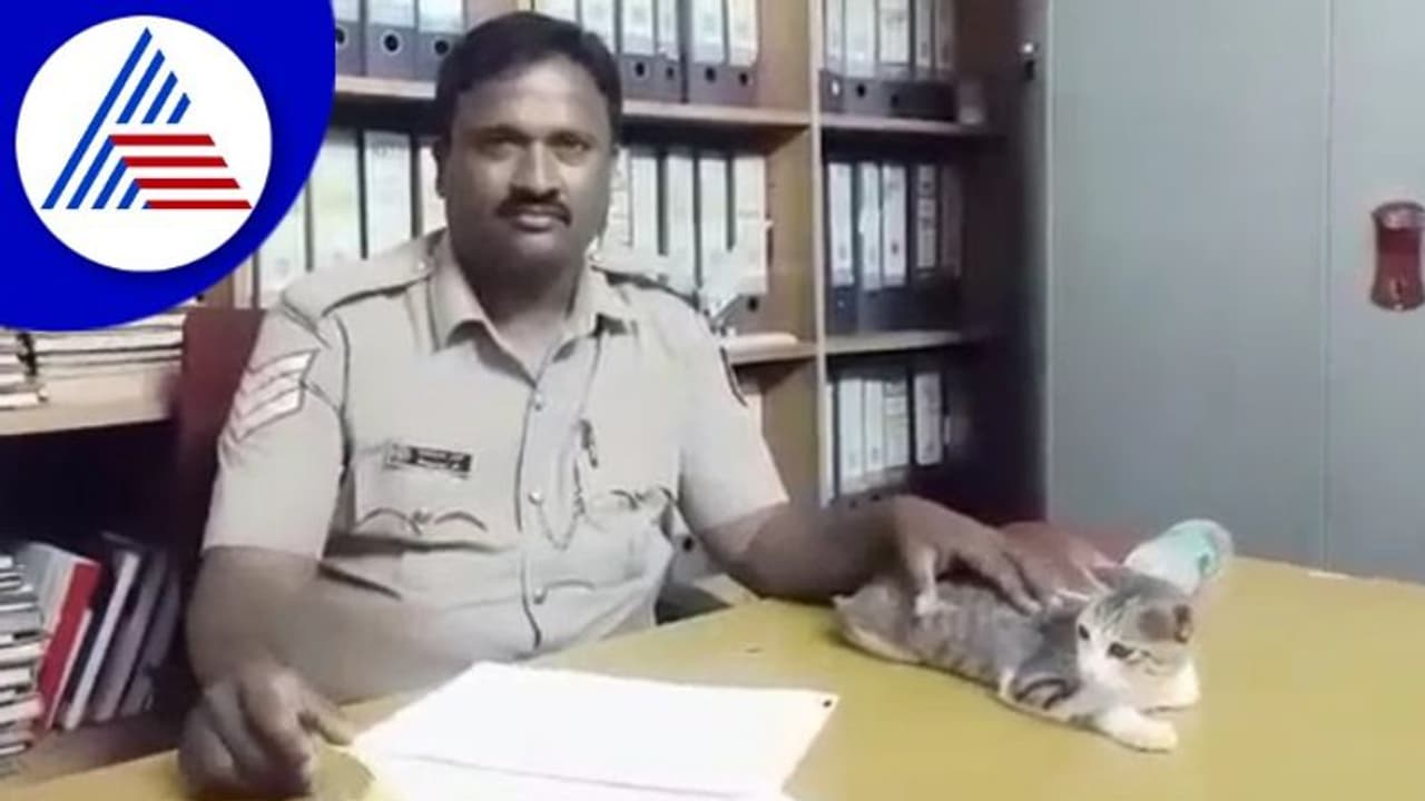 Chikkaballapura; ಇಲಿಗಳ ಕಾಟ ತಾಳಲಾರದೆ ಬೆಕ್ಕು ಸಾಕಿದ ಪೊಲೀಸರು! Chikkaballapura; ಇಲಿಗಳ ಕಾಟ ತಾಳಲಾರದೆ ಬೆಕ್ಕು ಸಾಕಿದ ಪೊಲೀಸರು!