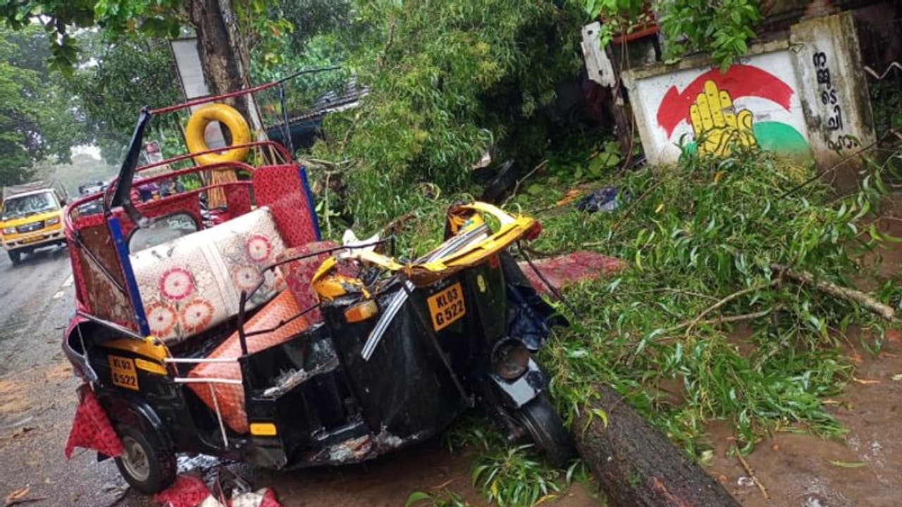 ഓടിക്കൊണ്ടിരുന്ന ഓട്ടോറിക്ഷയ്ക്ക് മുകളിൽ മരം വീണ് മൂന്ന് പേർക്ക് പരിക്ക്, ഓട്ടോ പൂര്ണ്ണമായും തകര്ന്നു ഓടിക്കൊണ്ടിരുന്ന ഓട്ടോറിക്ഷയ്ക്ക് മുകളിൽ മരം വീണ് മൂന്ന് പേർക്ക് പരിക്ക്, ഓട്ടോ പൂര്ണ്ണമായും തകര്ന്നു