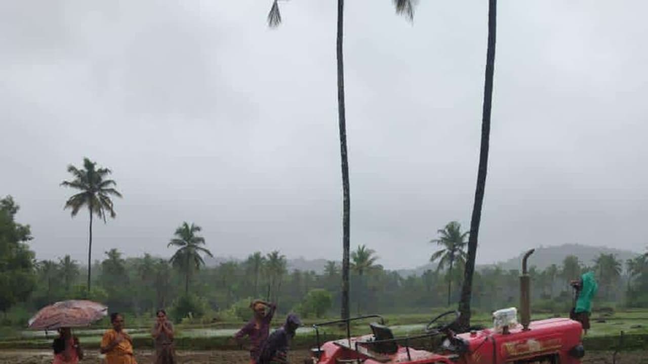 ಭತ್ತ ನಾಟಿ ಮಾಡುತ್ತಿರುವಾಗ ಕುಸಿದು ಬಿದ್ದು ರೈತ ಸಾವು, ಮರುಗಿದ ಜನ 