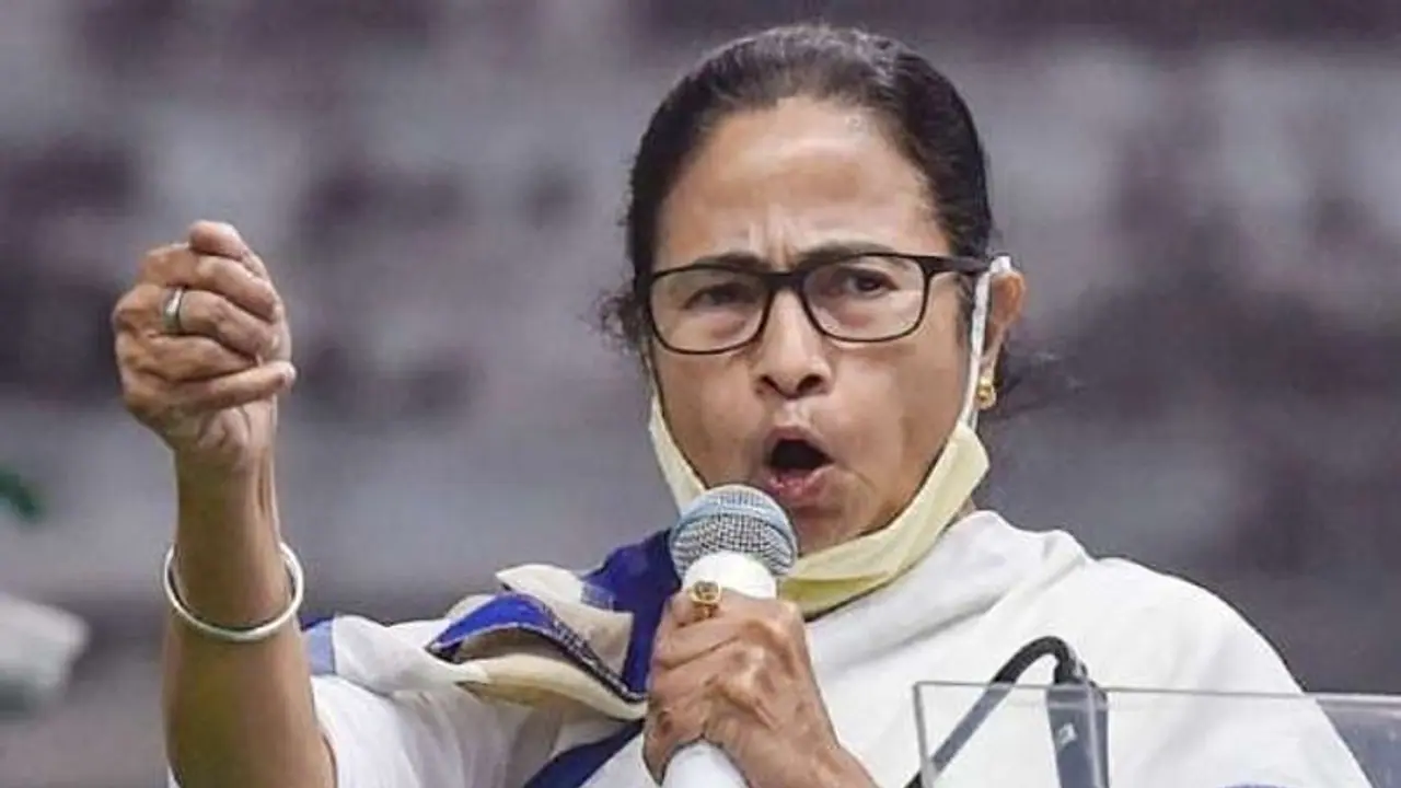 mamta mamta