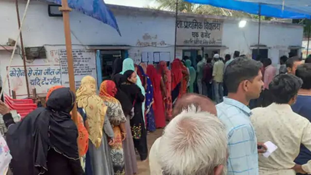 MP Panchayat Elections Second PhaseE: 7373 सरपंच पदों के लिए वोटिंग, भिंड में फायरिंग, छतरपुर में पथराव
