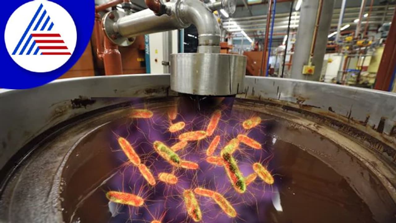 ಚಾಕೋಲೇಟ್ ಪ್ರಿಯರಾ ? ಹರಡ್ತಿದೆ ಸಾಲ್ಮೊನೆಲ್ಲಾ ಸೋಂಕು, ಎಚ್ಚರವಿರಲಿ ಚಾಕೋಲೇಟ್ ಪ್ರಿಯರಾ ? ಹರಡ್ತಿದೆ ಸಾಲ್ಮೊನೆಲ್ಲಾ ಸೋಂಕು, ಎಚ್ಚರವಿರಲಿ