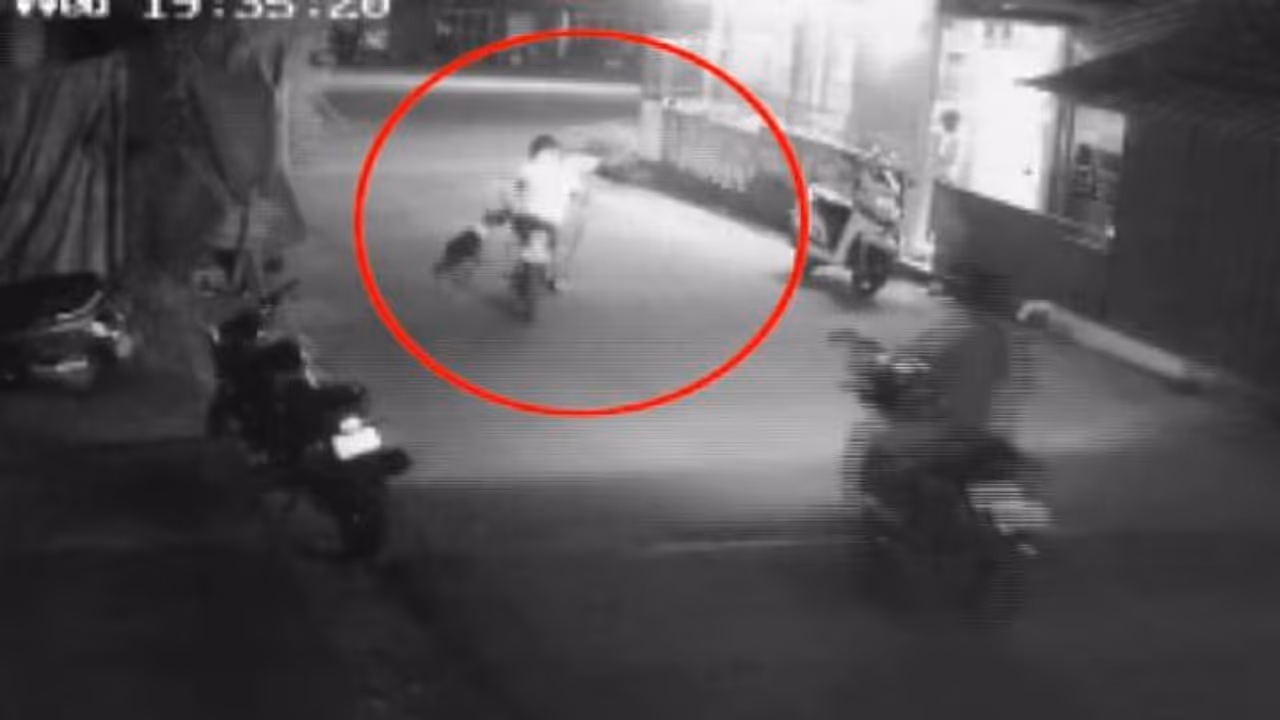 മണ്ണാർക്കാട് നടുറോഡിൽ വാഹന യാത്രികന് നേരെ തെരുവ് നായ ആക്രമണം, കടിച്ച് കുടഞ്ഞു