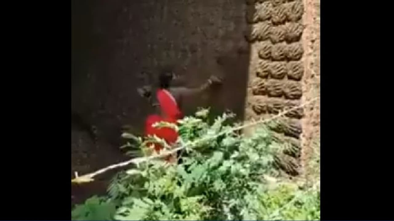 ಬೆರಣಿ ತಟ್ಟುವ ಮಹಿಳೆಯ ವಿಡಿಯೋ ವೈರಲ್: ಬಾಸ್ಕೆಟ್‌ಬಾಲ್‌ ಟೀಮಲ್ಲಿರಬೇಕಿತ್ತು ಎಂದ ನೆಟ್ಟಿಗರು