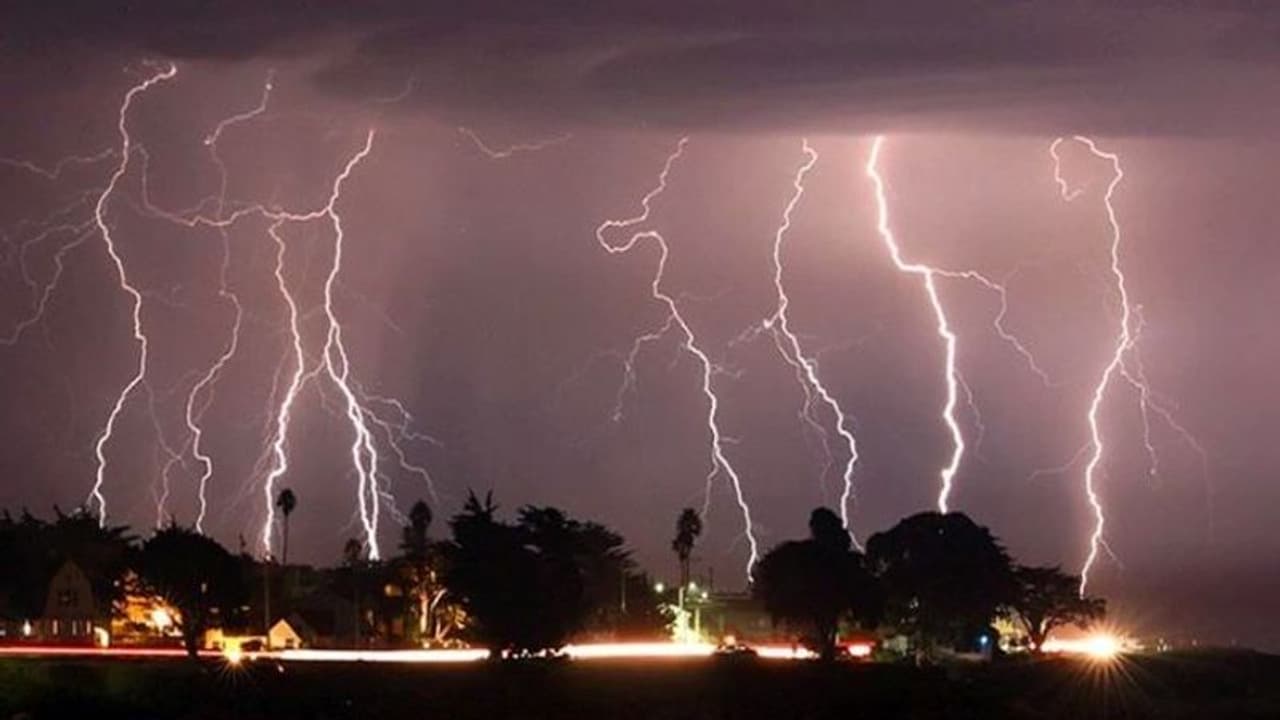 सीख लो सबक: भारी बारिश में पेड़ पर गिरी बिजली, वायरल वीडियो में देखिए क्या हुआ उसका हाल सीख लो सबक: भारी बारिश में पेड़ पर गिरी बिजली, वायरल वीडियो में देखिए क्या हुआ उसका हाल