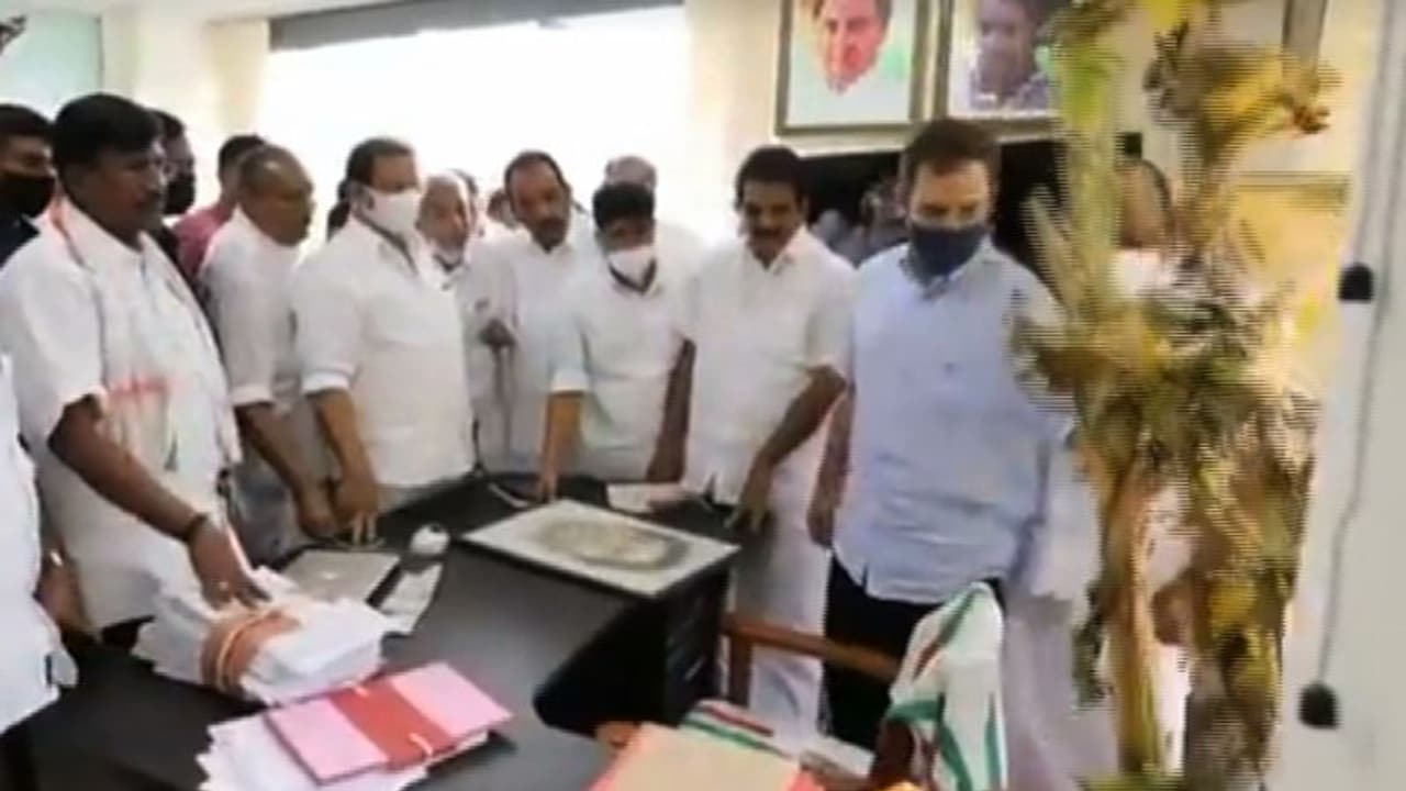 എസ്എഫ്ഐക്കാർ വച്ച വാഴ കസേരയിൽ നിന്ന് സ്വയം മാറ്റി രാഹുൽ ഗാന്ധി; ദൃശ്യങ്ങൾ ട്വീറ്റ് ചെയ്തു എസ്എഫ്ഐക്കാർ വച്ച വാഴ കസേരയിൽ നിന്ന് സ്വയം മാറ്റി രാഹുൽ ഗാന്ധി; ദൃശ്യങ്ങൾ ട്വീറ്റ് ചെയ്തു