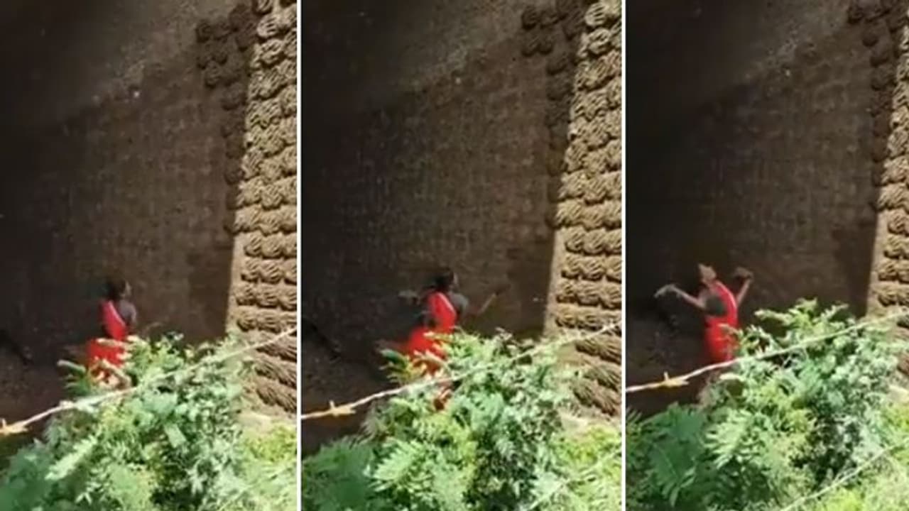 'ഹമ്പോ വൻ ഉന്നം തന്നെ'; വീണ്ടും വൈറലായി ഗ്രാമീണ വീഡിയോ