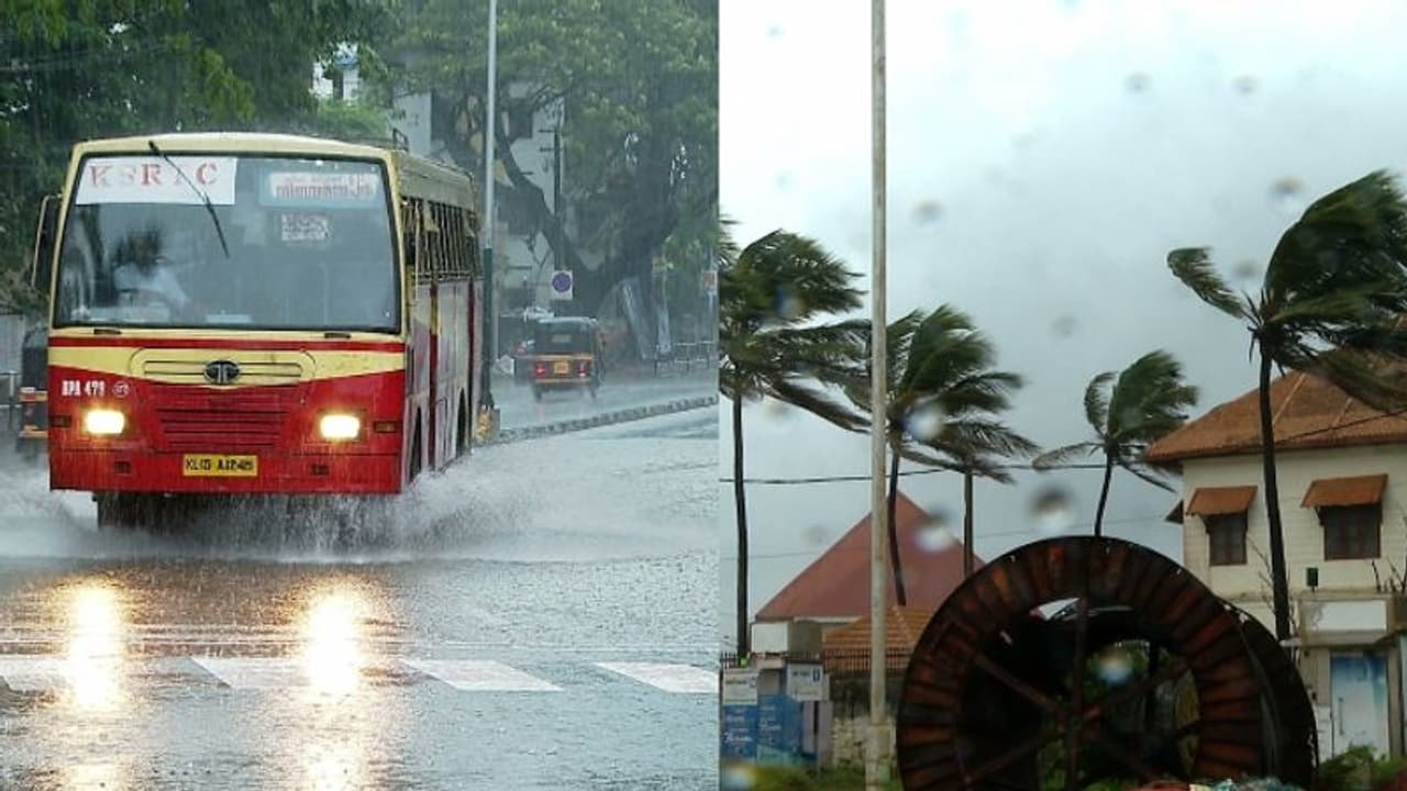 'കുടയെടുക്കാൻ മറക്കരുത്', 4 ദിവസം മഴ മുന്നറിയിപ്പ്; 11 ജില്ലകളിൽ യെല്ലോ അലർട്ട്, തീരദേശത്ത് ജാഗ്രതാ നി‍‍‍ർദേശം