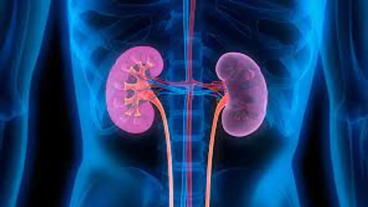 Kidney health Kidney health