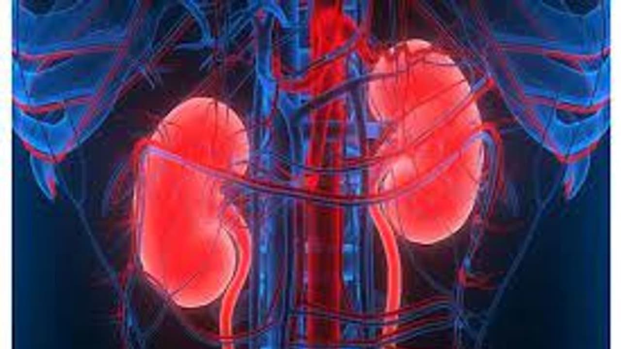 Kidney health