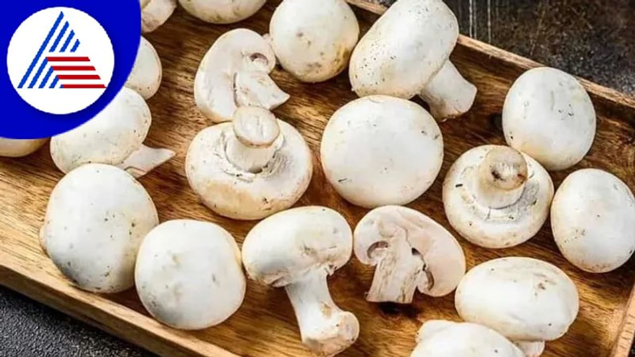 Mushroom: காளானை வெயிலில் வைத்து பிறகு சமைத்தால் இவ்வளவு நன்மைகள் கிடைக்குமா?