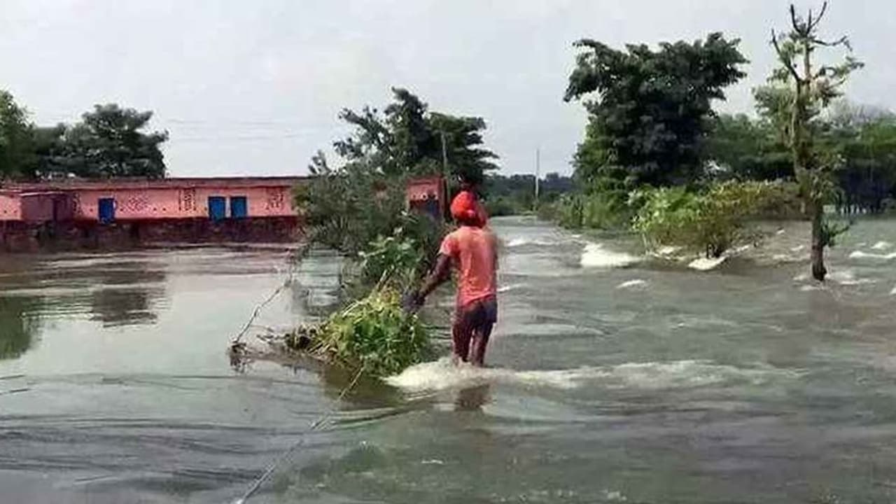 बिहार में कई नादियां ऊफान पर गांवों में घुसा पानी, 11 जिलों में भारी बारिश का अलर्ट बिहार में कई नादियां ऊफान पर गांवों में घुसा पानी, 11 जिलों में भारी बारिश का अलर्ट