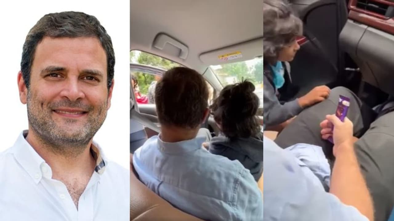 'വഴിയില് കാത്തുനിന്ന ഫ്രണ്ട്', അടുത്തിരുത്തി ചോക്ലേറ്റ് നല്കി, പിന്നെ സെല്ഫി; വീഡിയോ പങ്കുവച്ച് രാഹുല് 'വഴിയില് കാത്തുനിന്ന ഫ്രണ്ട്', അടുത്തിരുത്തി ചോക്ലേറ്റ് നല്കി, പിന്നെ സെല്ഫി; വീഡിയോ പങ്കുവച്ച് രാഹുല്