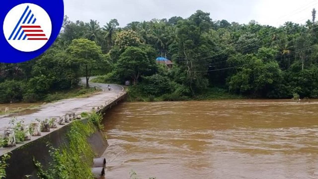 ಚಿಕ್ಕಮಗಳೂರಲ್ಲಿ ಭಾರೀ ಮಳೆ: ಅಪಾಯದ ಮಟ್ಟ ಮೀರಿ ಹರಿಯುತ್ತಿರುವ ಭದ್ರಾ ನದಿ