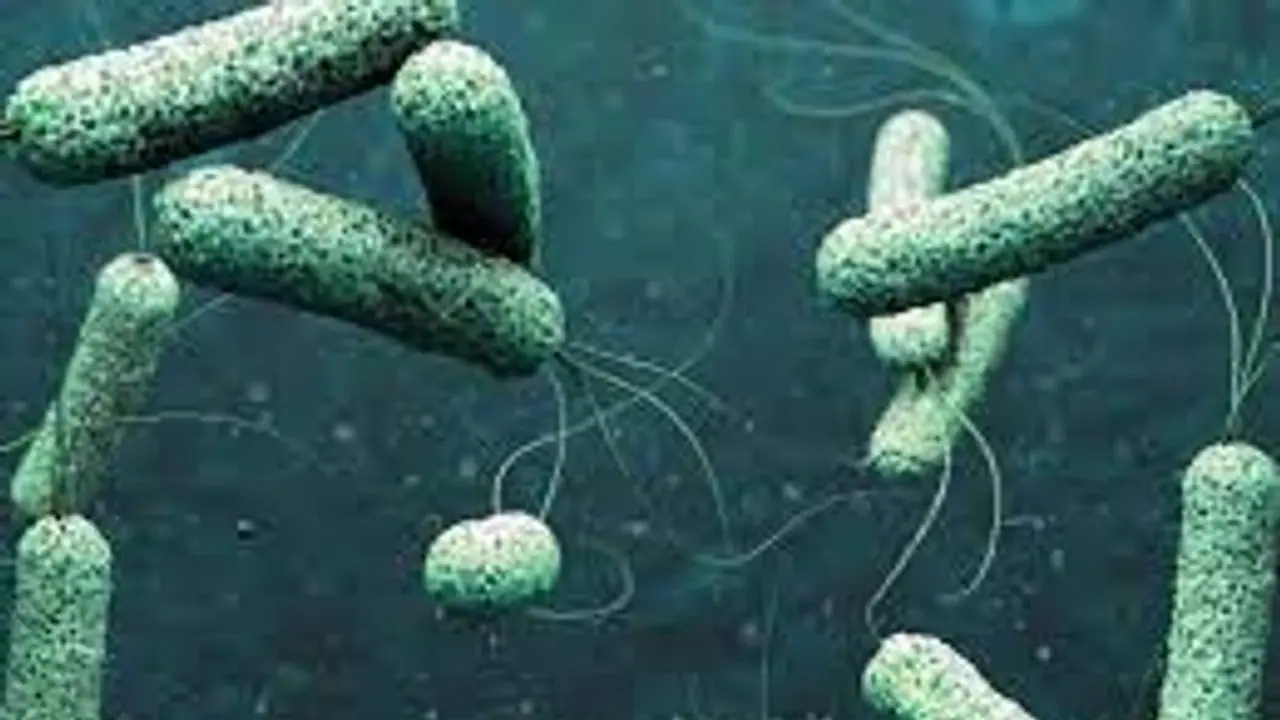 திருவனந்தபுரத்தில் காலராவுக்கு ஒருவர் பலி; 8 ஆண்டுகளில் காலராவுக்கு முதல் உயிரிழப்பு! 