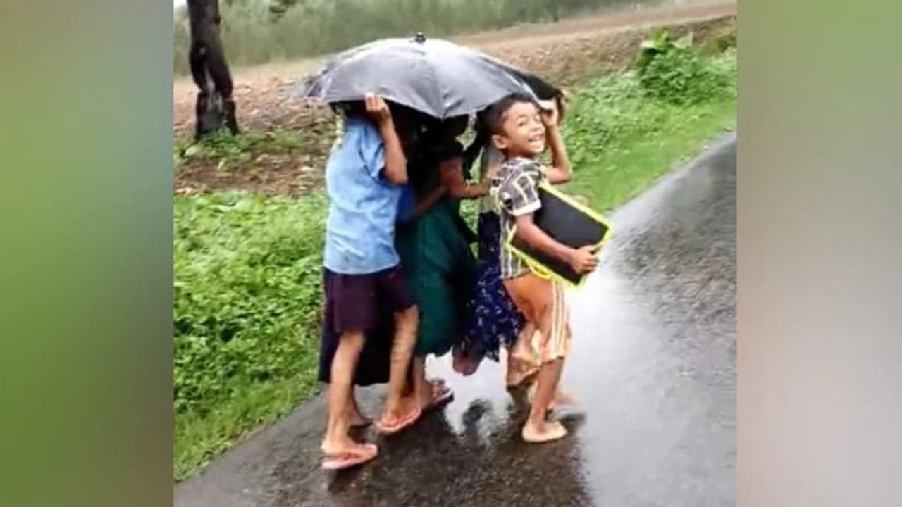 Rain Video : ഇങ്ങനെയൊരു 'നൊസ്റ്റാള്ജിയ' ഇല്ലാത്തവര് ആരുണ്ട്? Rain Video : ഇങ്ങനെയൊരു 'നൊസ്റ്റാള്ജിയ' ഇല്ലാത്തവര് ആരുണ്ട്?