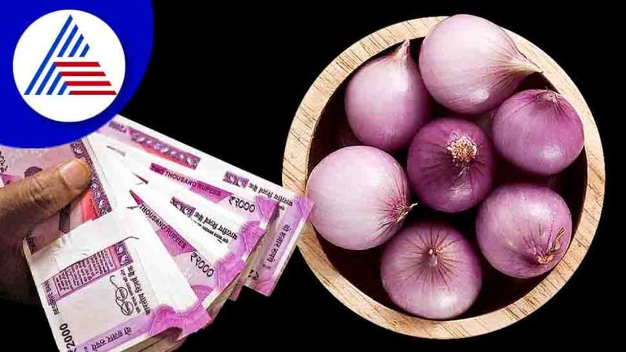 Business Idea : ಕಣ್ಣೀರು ತರಿಸೋ ಈರುಳ್ಳಿ ಈ ವ್ಯವಹಾರ ಶುರು ಮಾಡಿ ಹಣಗಳಿಸಿ