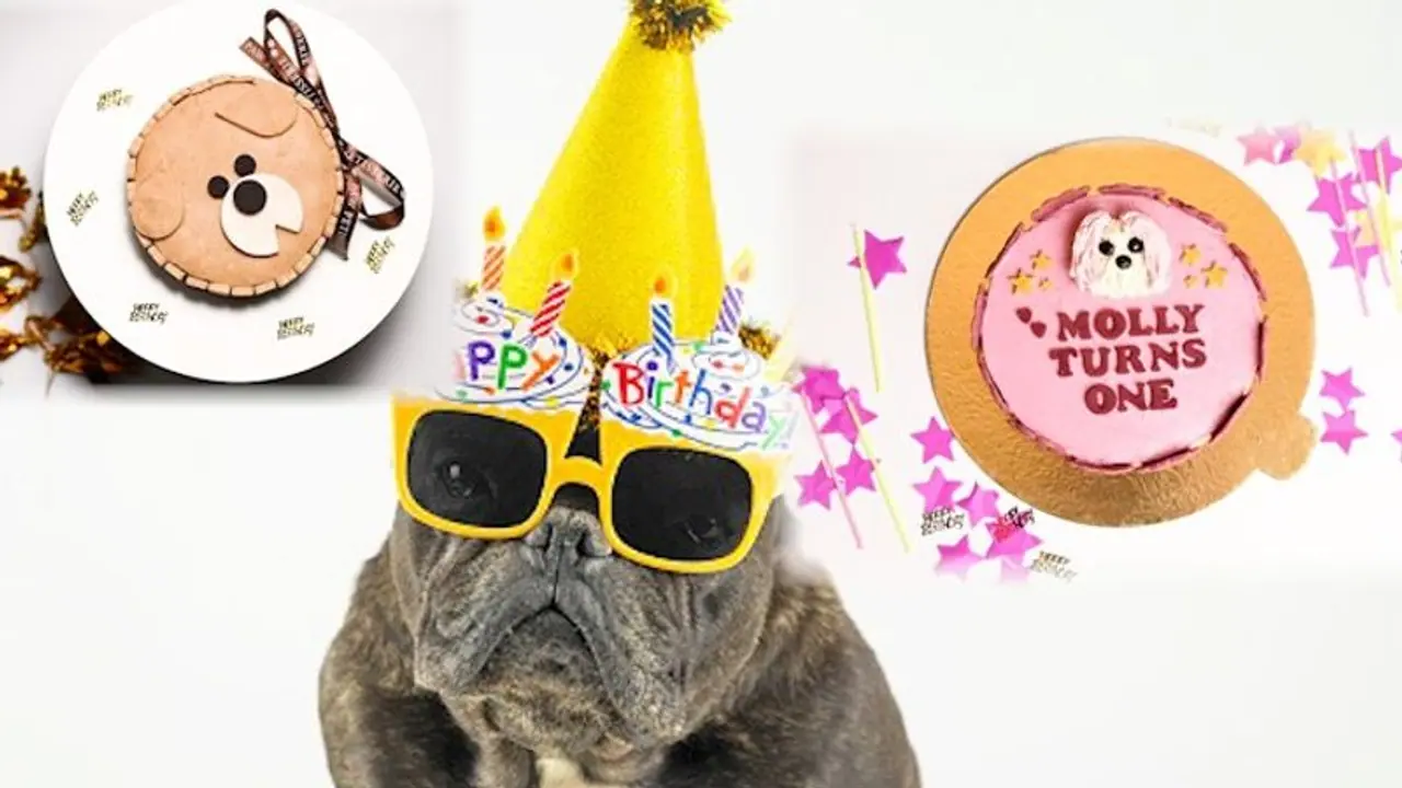 Is your dog's birthday coming? Here are 5 must try cakes for your pooch Is your dog's birthday coming? Here are 5 must try cakes for your pooch