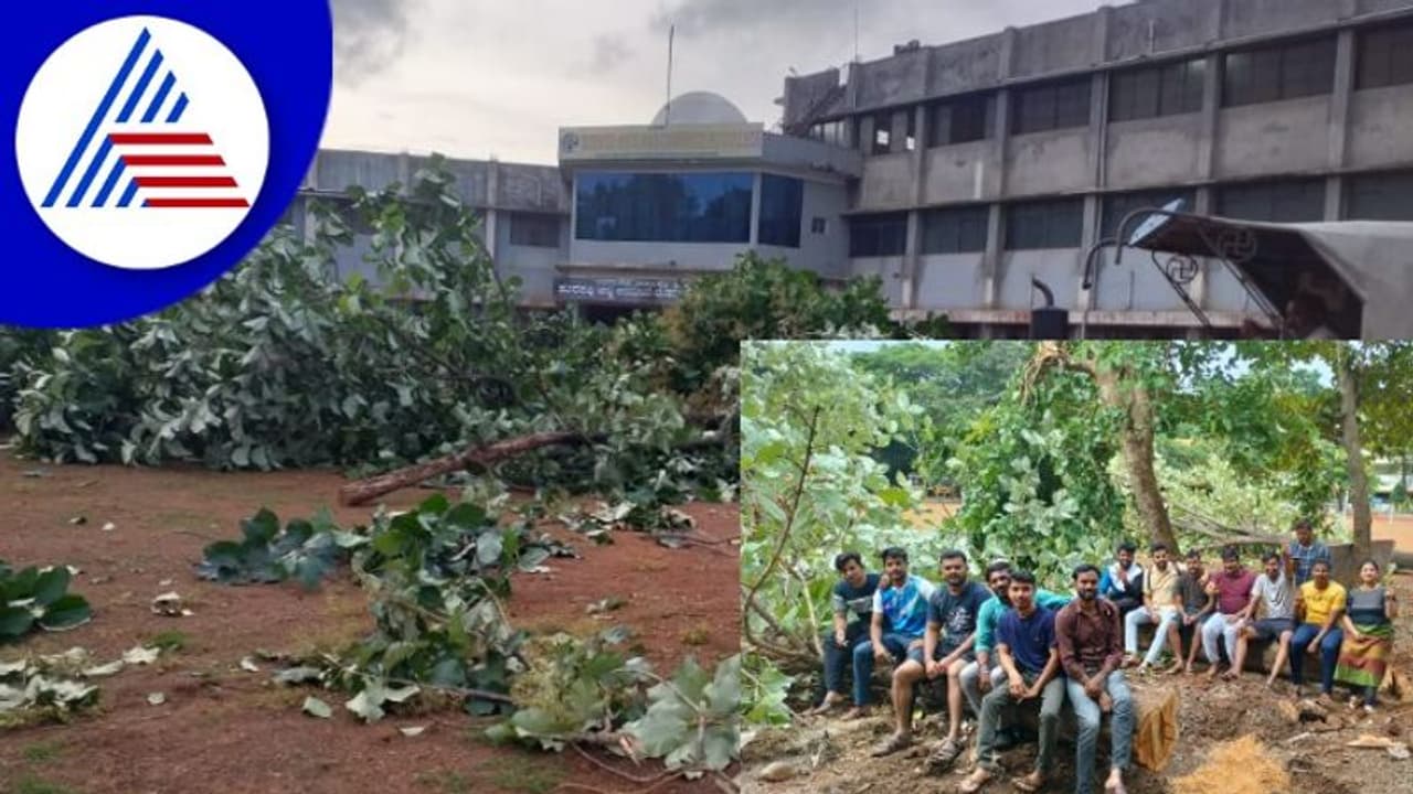 Dharwad; ಕಾನೂನು ಕಾಲೇಜಿನಲ್ಲಿ ಮರಗಳ ಮಾರಣಹೋಮ, ವಿದ್ಯಾರ್ಥಿಗಳ ಆಕ್ರೋಶ Dharwad; ಕಾನೂನು ಕಾಲೇಜಿನಲ್ಲಿ ಮರಗಳ ಮಾರಣಹೋಮ, ವಿದ್ಯಾರ್ಥಿಗಳ ಆಕ್ರೋಶ